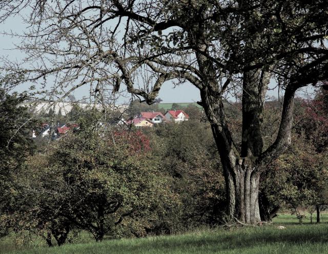 Ansicht von Bauerbach Ansicht von Bauerbach