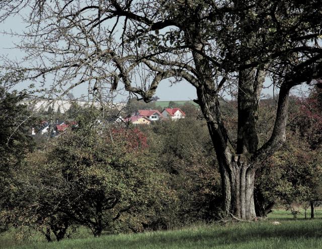 Ansicht von Bauerbach