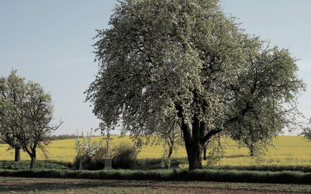 Impressionen aus Neibsheim