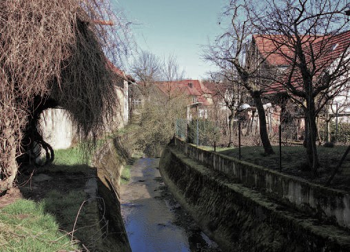 Impressionen aus Neibsheim