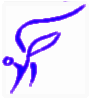 Firma Naturheilpraxis Eisner